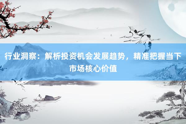 行业洞察：解析投资机会发展趋势，精准把握当下市场核心价值