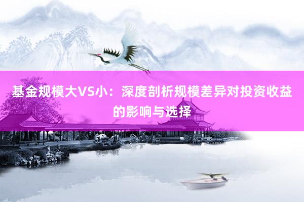 基金规模大VS小：深度剖析规模差异对投资收益的影响与选择