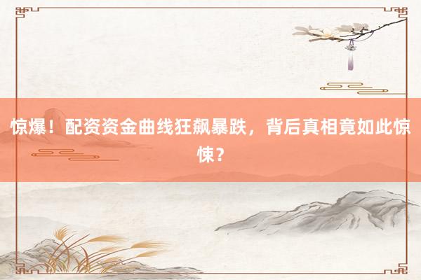 惊爆！配资资金曲线狂飙暴跌，背后真相竟如此惊悚？